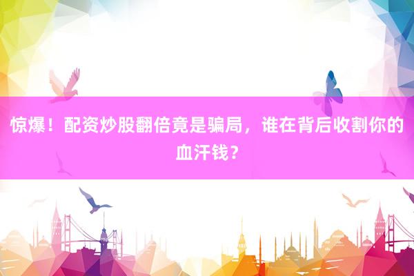 惊爆！配资炒股翻倍竟是骗局，谁在背后收割你的血汗钱？