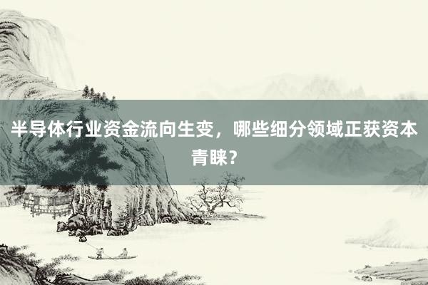 半导体行业资金流向生变，哪些细分领域正获资本青睐？