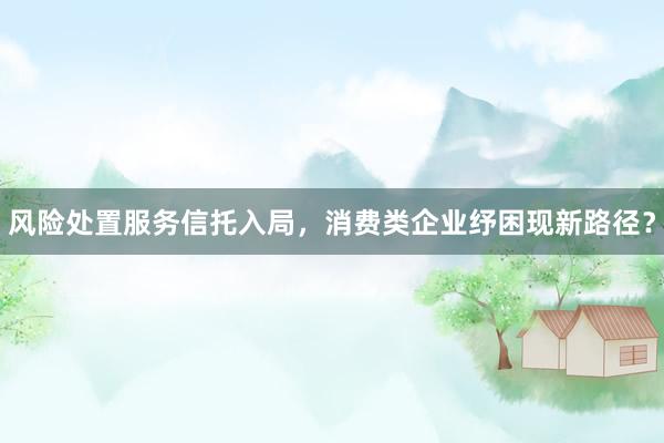 风险处置服务信托入局，消费类企业纾困现新路径？