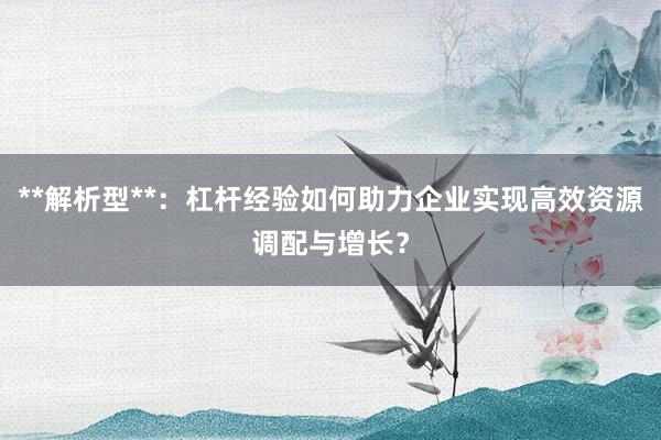 **解析型**：杠杆经验如何助力企业实现高效资源调配与增长？