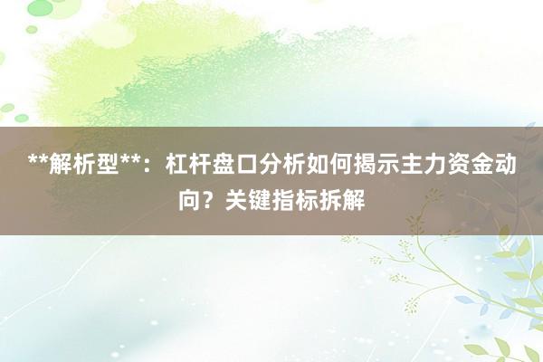 **解析型**：杠杆盘口分析如何揭示主力资金动向？关键指标拆解