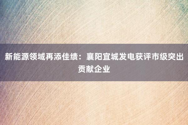 新能源领域再添佳绩：襄阳宜城发电获评市级突出贡献企业