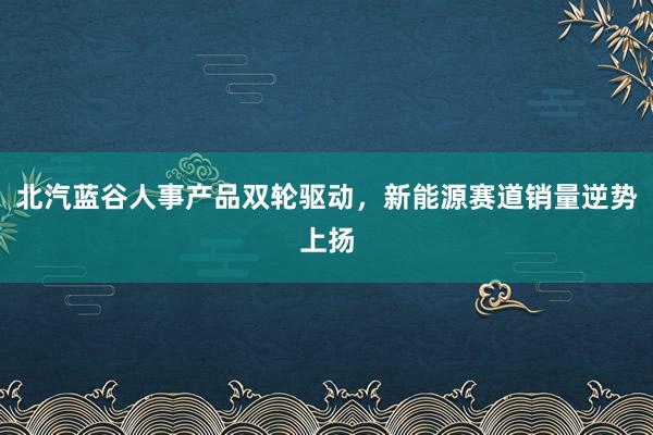 北汽蓝谷人事产品双轮驱动，新能源赛道销量逆势上扬