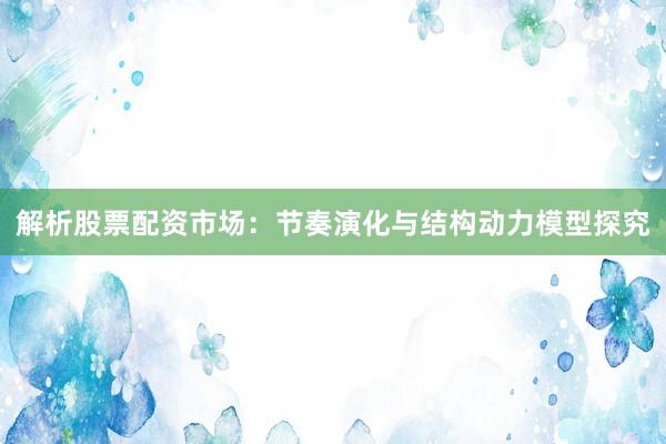 解析股票配资市场：节奏演化与结构动力模型探究